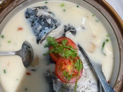 -全乐鱼馆·淳牌有机鱼直营店