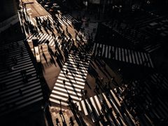 -涩谷全向十字路口