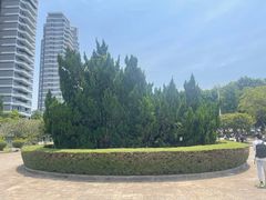 -紫马岭公园