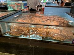 -尚海豆捞(乐虹坊店)