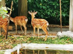 -广州长隆野生动物世界