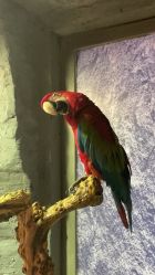 -Zoolung Zoolung动物主题公园(海信广场店)