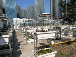 -三分地生态园·儿童乐园