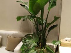 -泰合玺·精油疗愈 SPA(南京河西万达店)