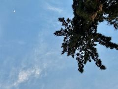-深圳湾公园(南山区)
