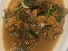 田鱼-吴记百家·私房菜·家宴(润园店)