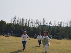 -上海长兴岛郊野公园