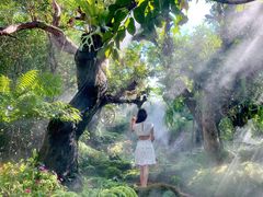 -Chom Cafe and Restaurant