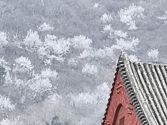 -八大处公园