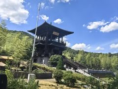 -大唐贡茶院