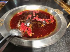 -大龙燚火锅(春熙店)