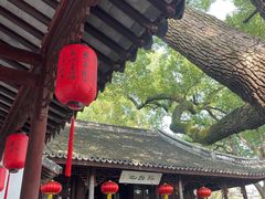 -上海醉白池公园