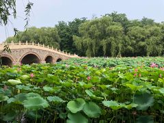 -南戴河国际娱乐中心