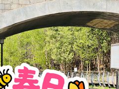 -白水寺森林公园