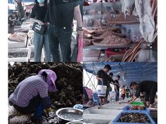 -那琴半岛地质海洋公园