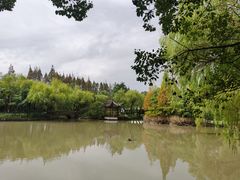 -瀛洲公园