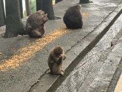 -太阳湾风景区