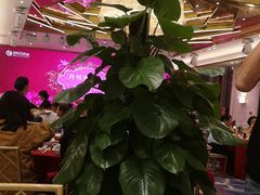 大堂-御彩酒家(东风东路店)