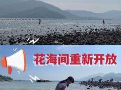 -花海间·即刻露营