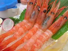 -仙隐小鹿中华料理(南宁万象城店)