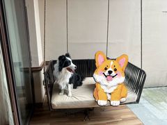 -上海崇明金茂凯悦酒店