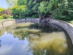 -嘉定紫藤园
