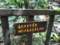 -七仙岭温泉国家森林公园