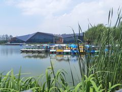 -上海长兴岛郊野公园