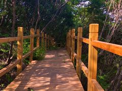 -白草畔自然风景区