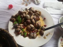 -宾朋海鲜特色美食餐厅·纯手工鲅鱼水饺(兴海路店)