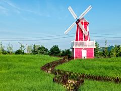 -羊亭河湿地公园