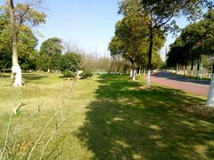 -艾溪湖湿地公园