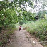 山里废弃的工厂【龙泉山北段，锅炉厂】