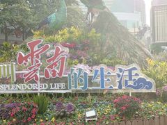 -南屏步行街