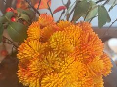 -百富源·海鲜辽菜(和平北大街店)