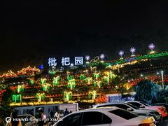 -枇杷园食为鲜火锅(南山店)