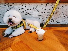 -Line 咖啡(石厦花园店)