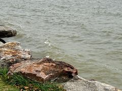 -苏州湾体育公园