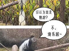 -武汉动物园