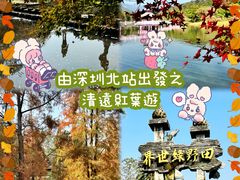 -田野绿世界