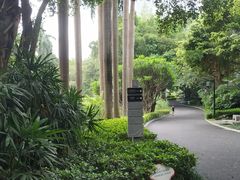 -南宁南湖公园