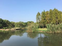 -蠡湖大桥公园