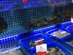 水产区-必点海鲜·鲅鱼水饺(鞍山西道店)