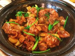 啫啫鸡-朕悦鹧鸪饭私房菜