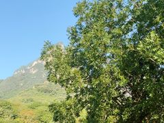 -云台山风景名胜区