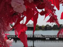 -尚湖风景区