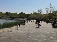 -新江湾城公园