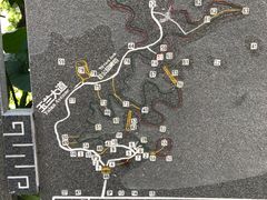 -广州市流溪河国家森林公园