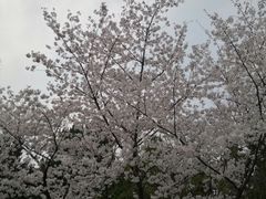 -南通博物苑-崇川人民公园