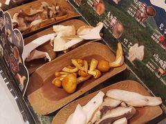 -芸山季·云南野生菌火锅(人民广场来福士店)